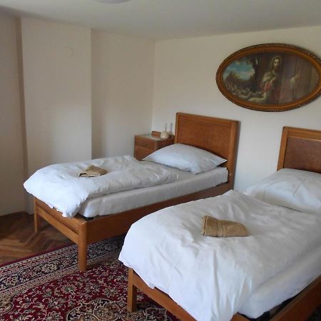 Lanžhot Ubytovani U Babickyゲストハウス エクステリア 写真