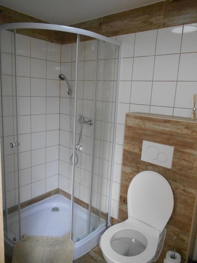 Lanžhot Ubytovani U Babickyゲストハウス エクステリア 写真