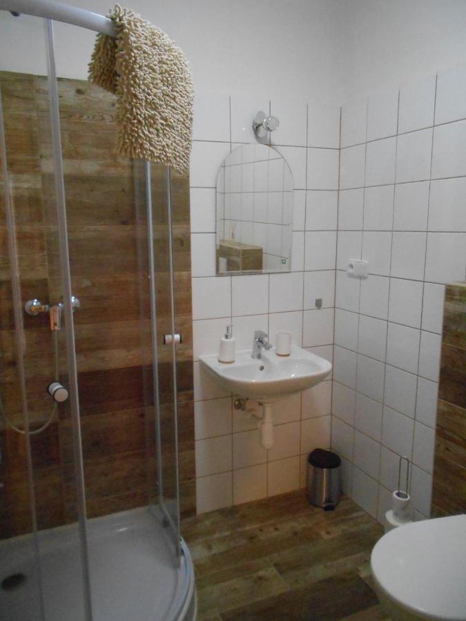 Lanžhot Ubytovani U Babickyゲストハウス エクステリア 写真